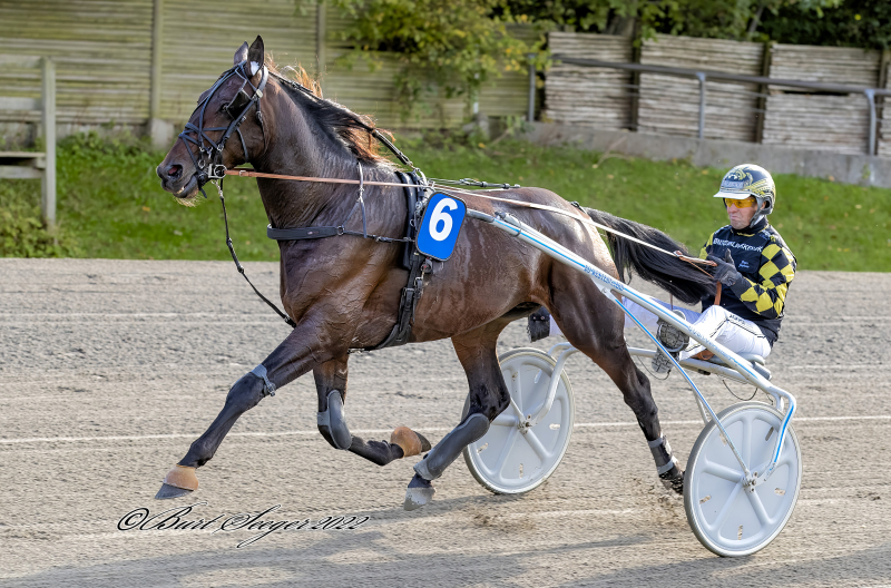 HUGO TR JBORG S2 6184 T