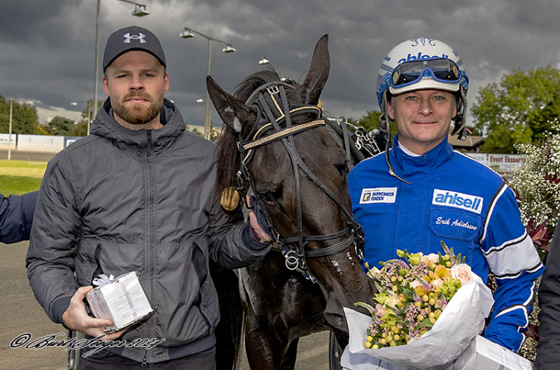 Danskregistreret hoppe kan vinde 900.000 skr. i dag KILIMANJARO_FACE_D2I5918