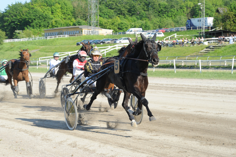 KiwiShadow 4698