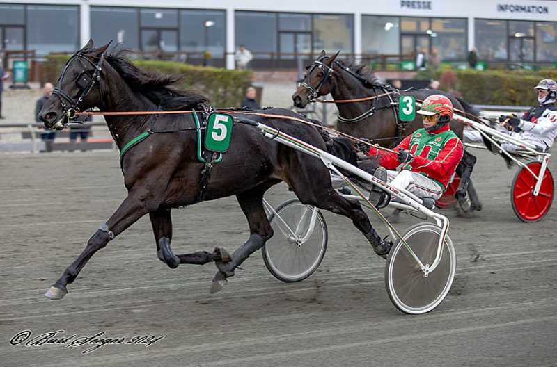 LETS GO OSTEDANTIK MGL0081