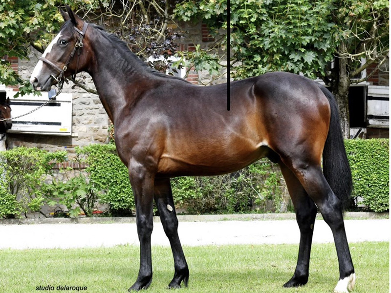 Lucky Mom klar til debut - Kostede 625.000,00kr. LuckyMom