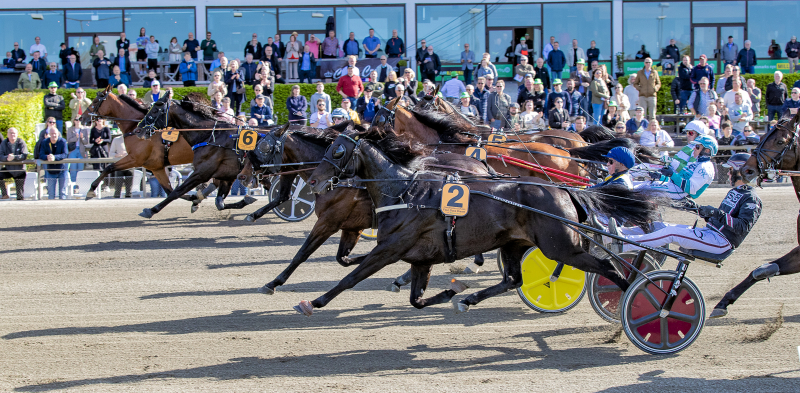 Starten Copenhagen Cup 2022 S2 6793