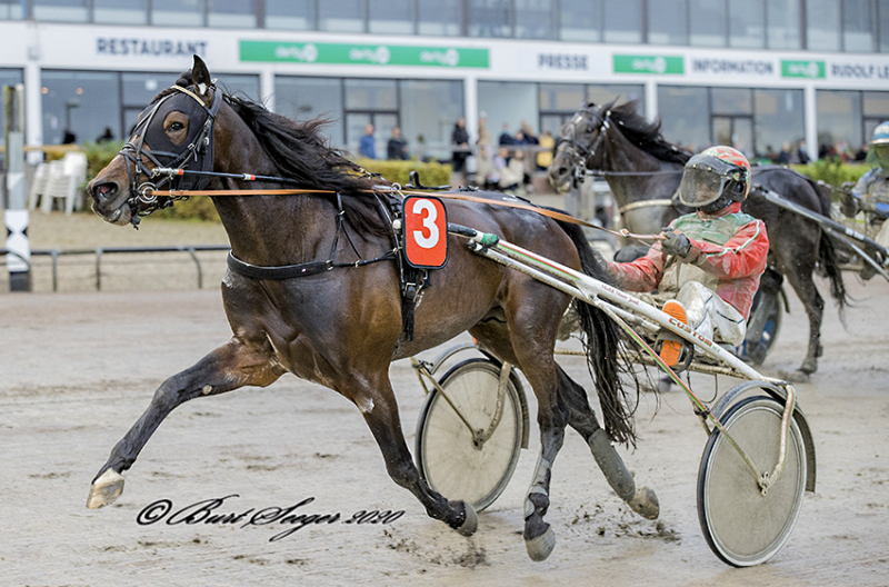 Florican Rold – Udbydes FLORICAN_ROLD_P3I9591