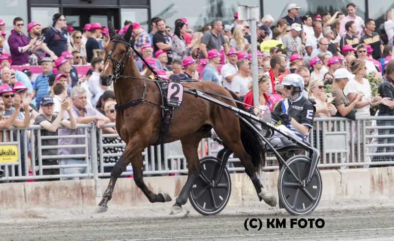 GP4A0729 Twister Bi Christoffer Eriksson