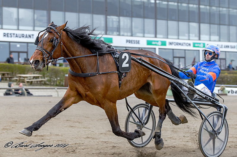 Kort nyt JUSTLIKEJESSEJAMES_MGL8981 (1)