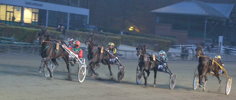 Gallanominering - Lets Go Ostedantik Lets Go Ostedantik