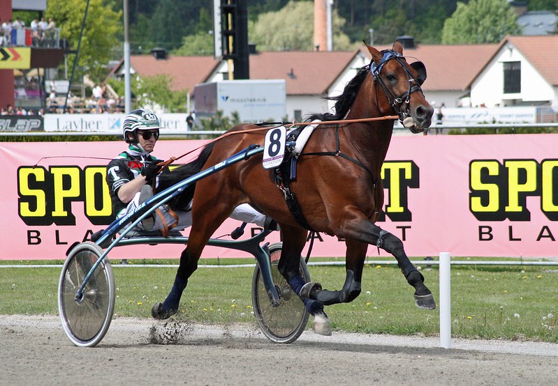 Takter mod comeback 52866780404_4ea0ee6308_c