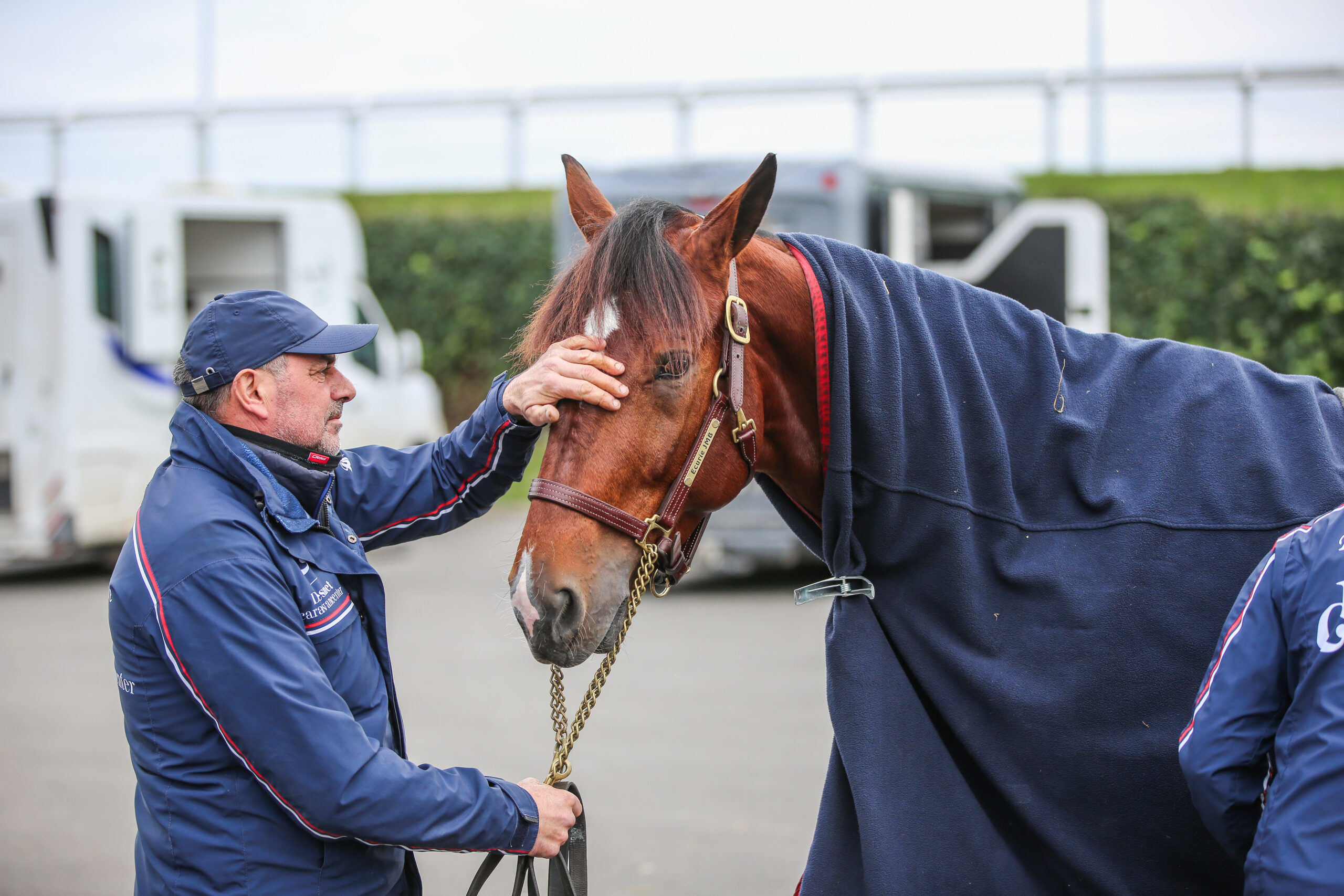 Positiv nyt fra Jushua Tree Vincennes-24-12-2023