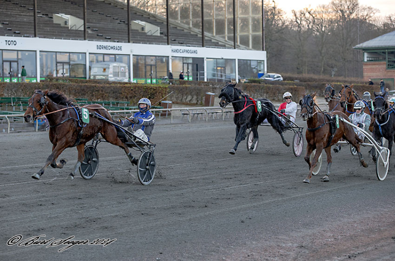 HURRICANE PHOTO MGL1093