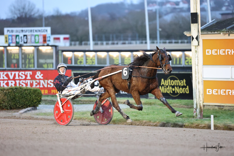 Kort nyt fra nær og fjern InMyWayDamgaard_3328