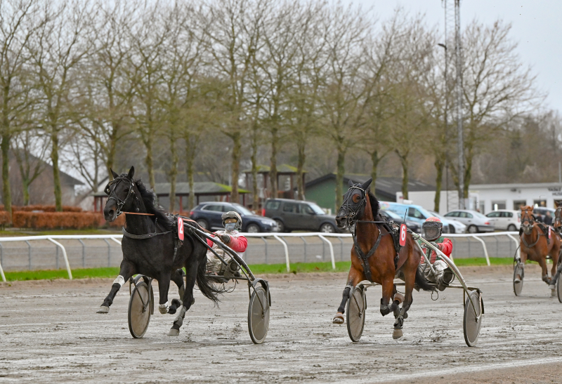 Oversigt - Sådan starter danskerne på Jægersro KOOGOO_GAAGAA_DSC_5238