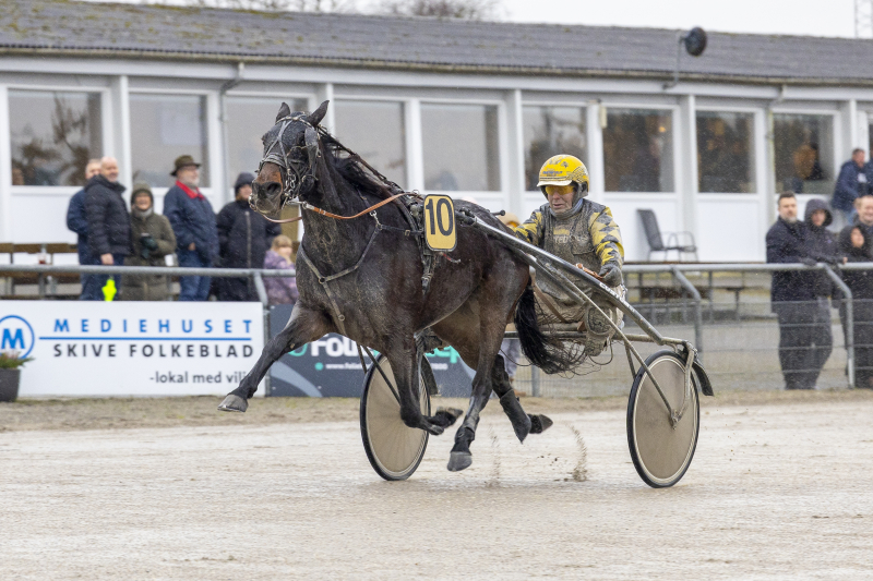 Kort nyt fra nær og fjern kimbi_kini