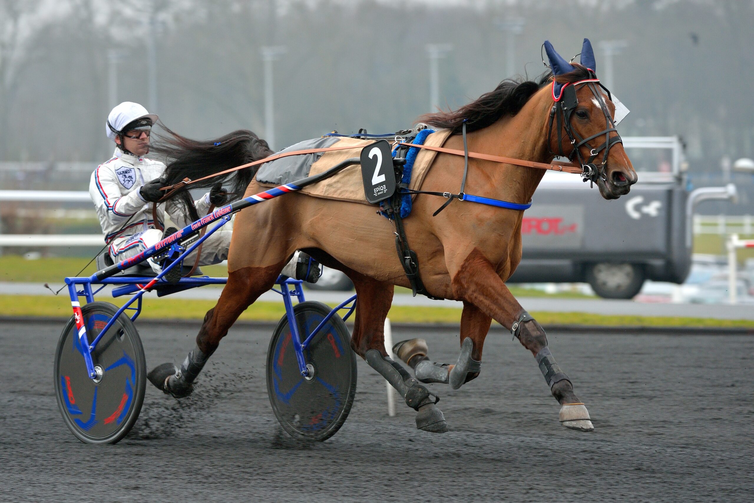 Vincennes, Prix de France, 2017