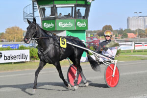 COOKIE LADAY NZ9 1231