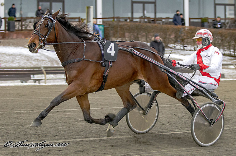 Lunden - Kan Giggler gentage succesen? GIGGLER_MGL1642