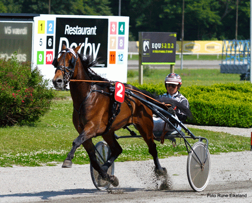 Tano Bork jvb 500x402 1