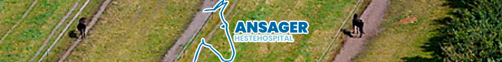 Ansager Hestehospital