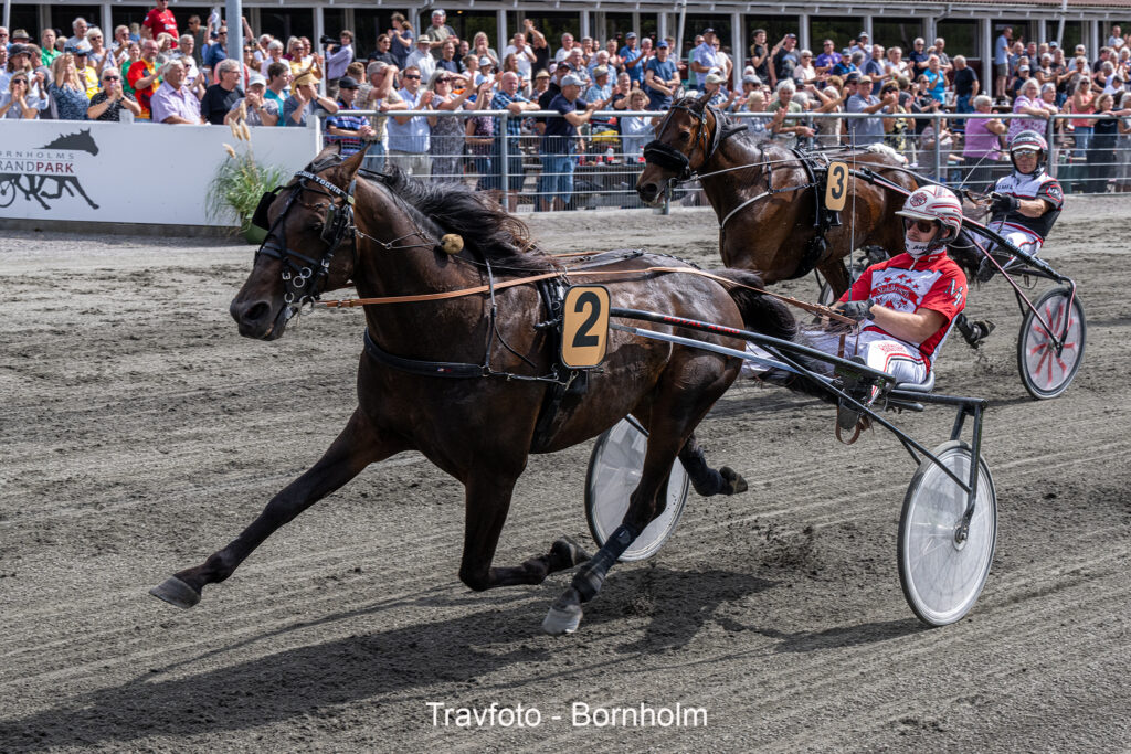 Marvellous Tooma med Mads Petersen 17 august 2024 Fotograf Torben Ager Travfoto Bornholm TKA 7923