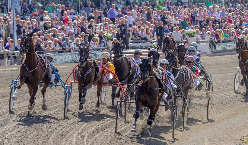 copenhagen cup 2013