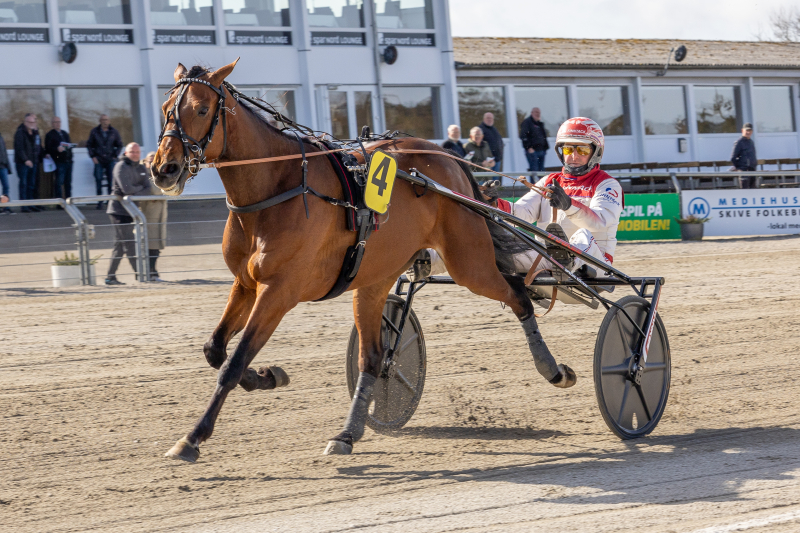 komsa langborg 1