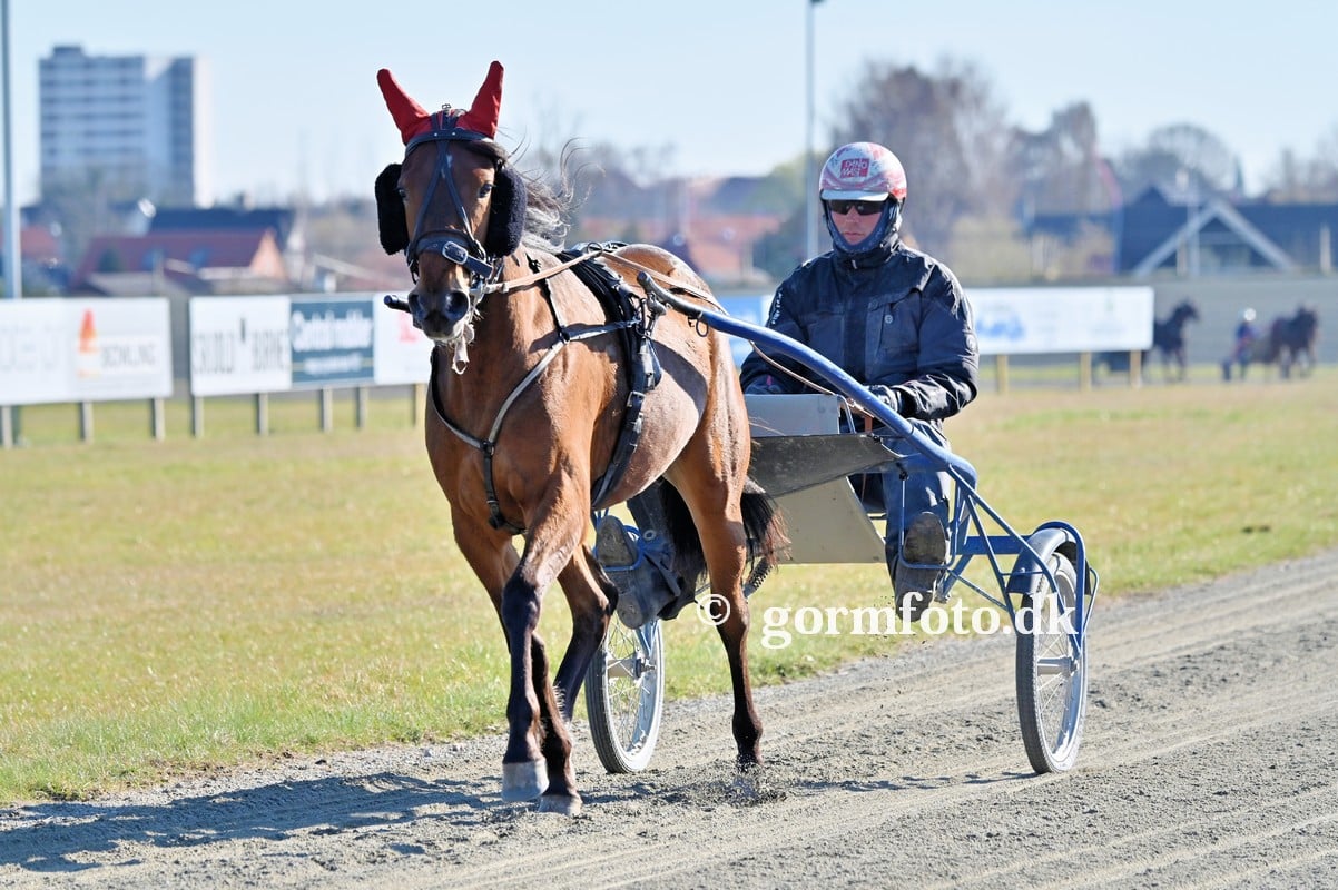Martin Hansen