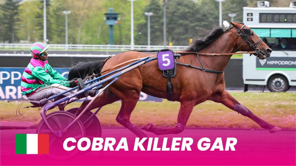 Cobra Killer Gar 1920x1080 1