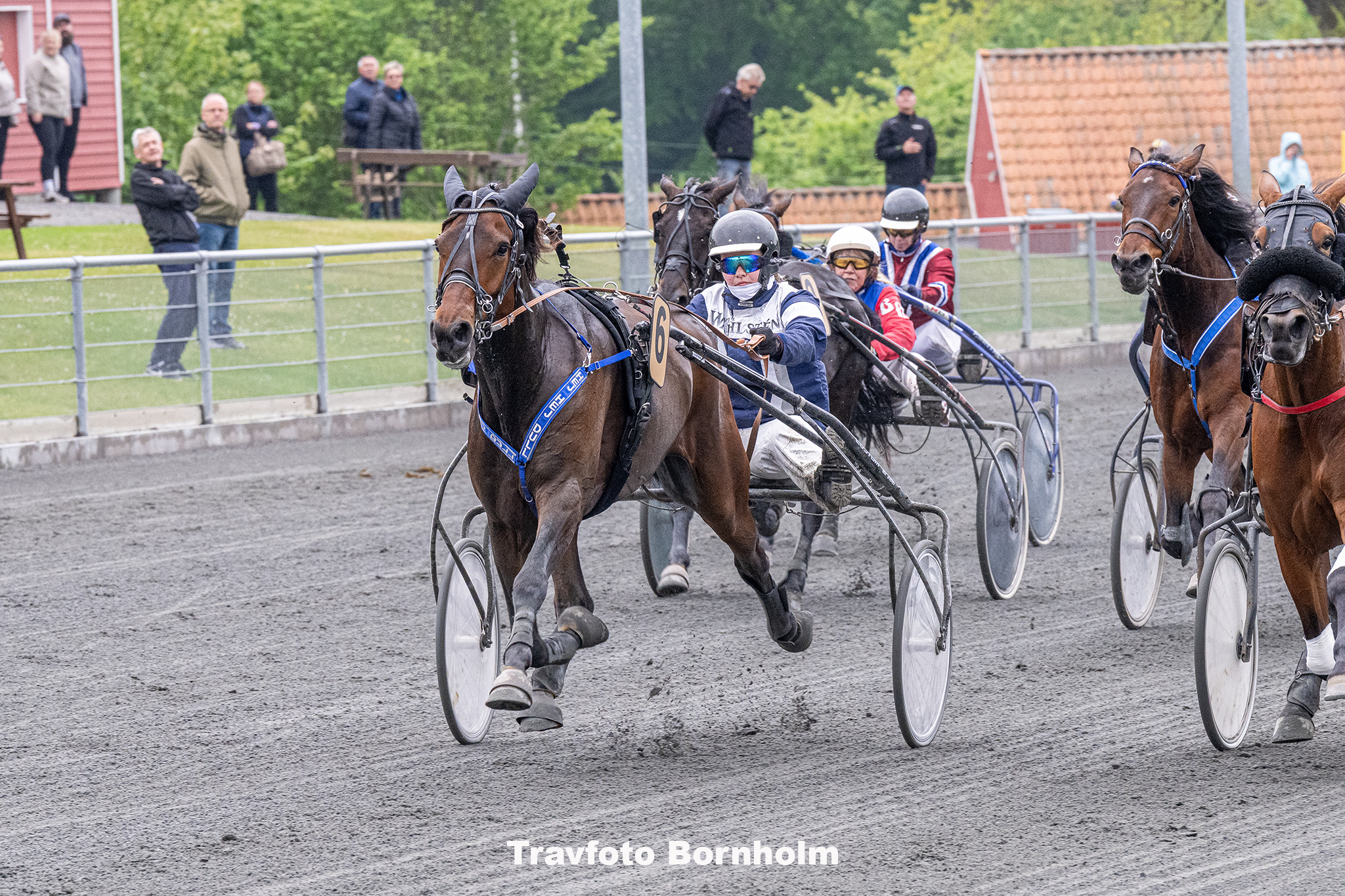Hej Hej Dull med Signe Holst 30 maj 2025 Fotograf Torben Ager Travfoto Bornholm TKA 0273