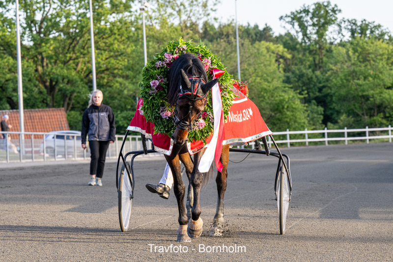 Hej Hej Dull med Mads Petersen 19 juni 2024 Fotograf Torben Ager Travfoto Bornholm olm TKA 2799