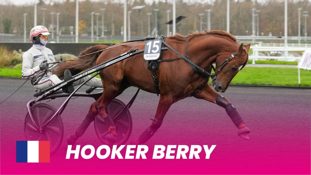 Hooker berry 1920x1080