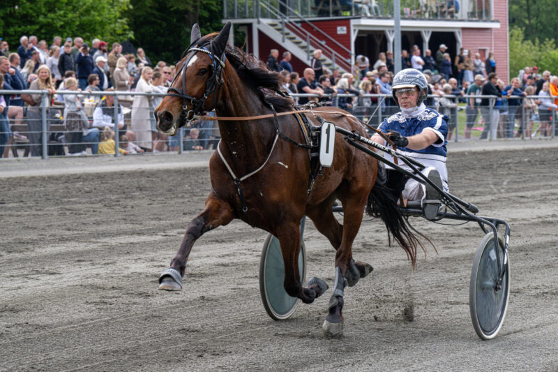 Ka´li Baunely med Martin Sjoeholm Jensen 20 maj 2024 Fotograf Torben Ager Travfoto Bornholm TKA 0772 scaled e1716203569493