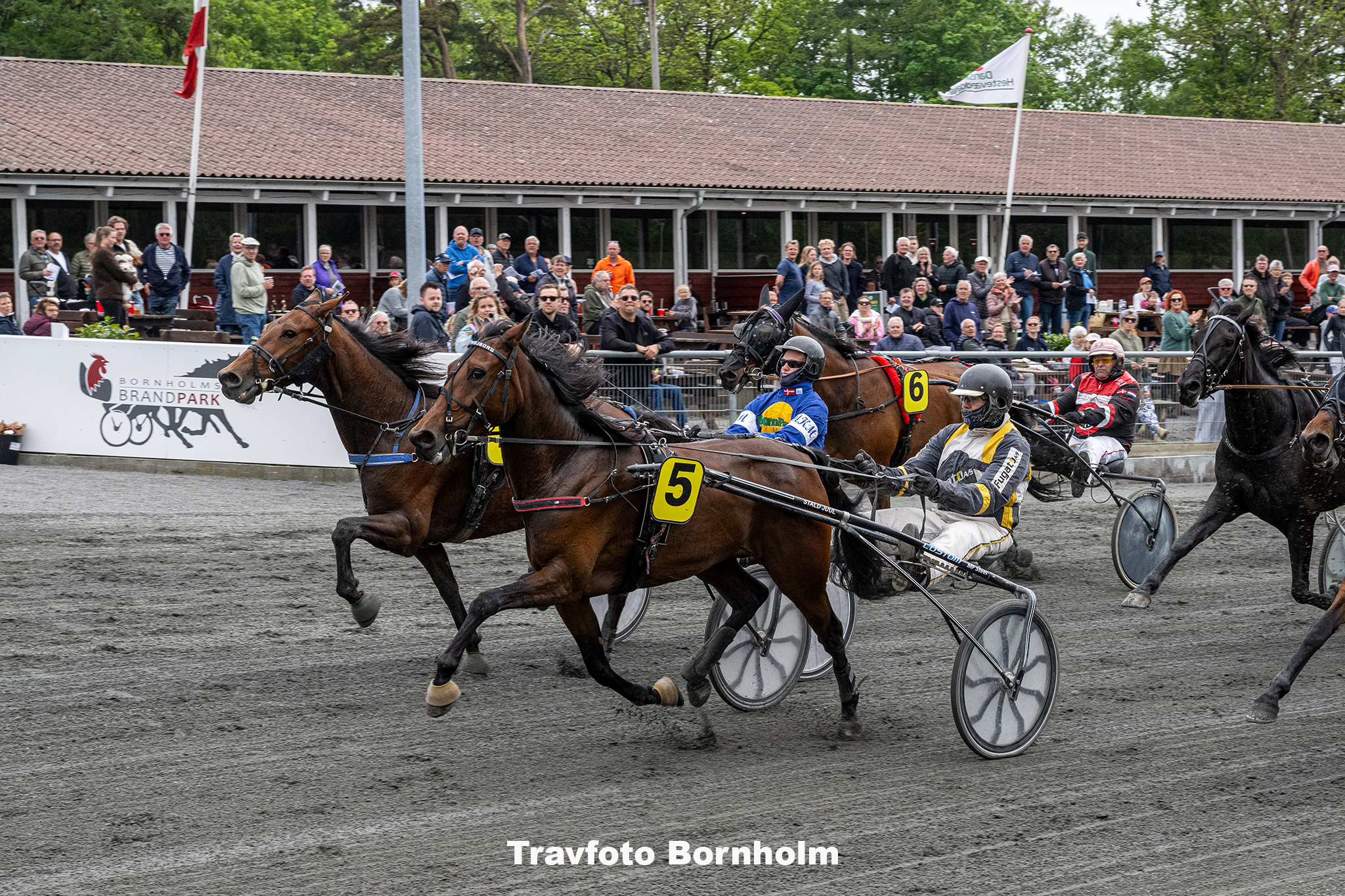 Kiwi Troejborg med Soeren K Jensen 30 maj 2025 Fotograf Torben Ager Travfoto Bornholm TKA 9954 1