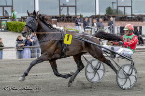PURE HURRICANE S2 2184