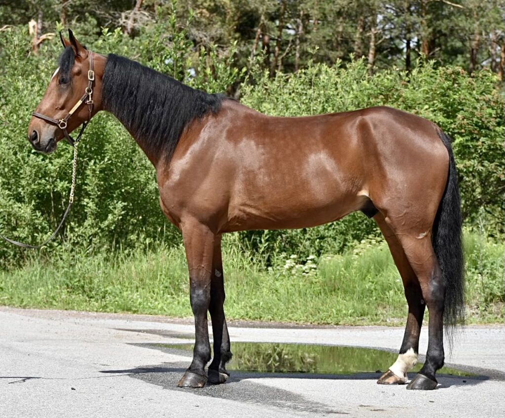 b021e9a1801a8401b73880faa8439510