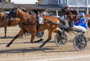 DANIEL AUTRICHE SE 1