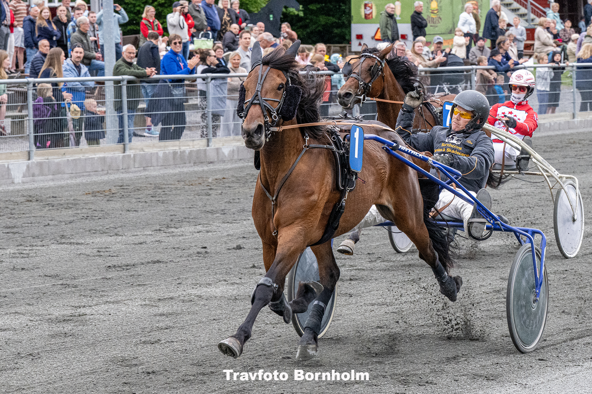 I Go Again Chief med Kim Mortensen 5 juni 2025 Fotograf Torben Ager Travfoto Bornholm TKA 0623