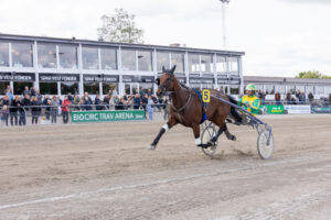 MARVELOUS MOSELL