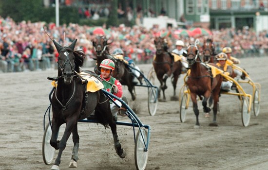 rudolf le ann 1993