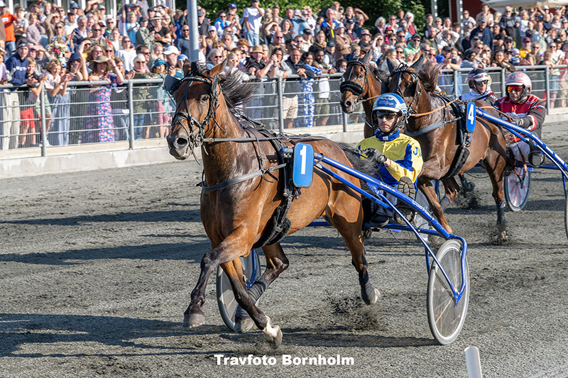 Diamondwind med Jonas Mikkelsen 29 juli 2025 Fotograf Torben Ager Travfoto Bornholm TKA 7551