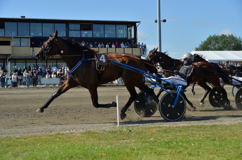 Henrik Will 250713