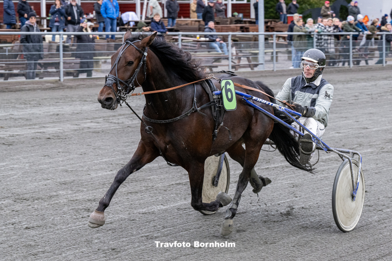 Highway Damga rd med John Mikkelsen Bornholms Brand Park 21 oktober 2023 Fotograf Torben Ager Travfoto Bornholm TKA 2077