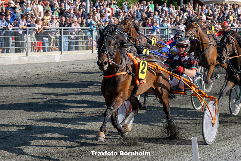Joe K med Anders F Jensen 29 juli 2025 Fotograf Torben Ager Travfoto Bornholm TKA 7515