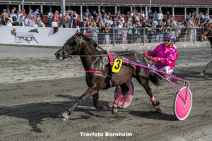 Kool Osiris med Betina Lund 8 juli 2025 Fotograf Torben Ager Travfoto Bornholm TKA 5211