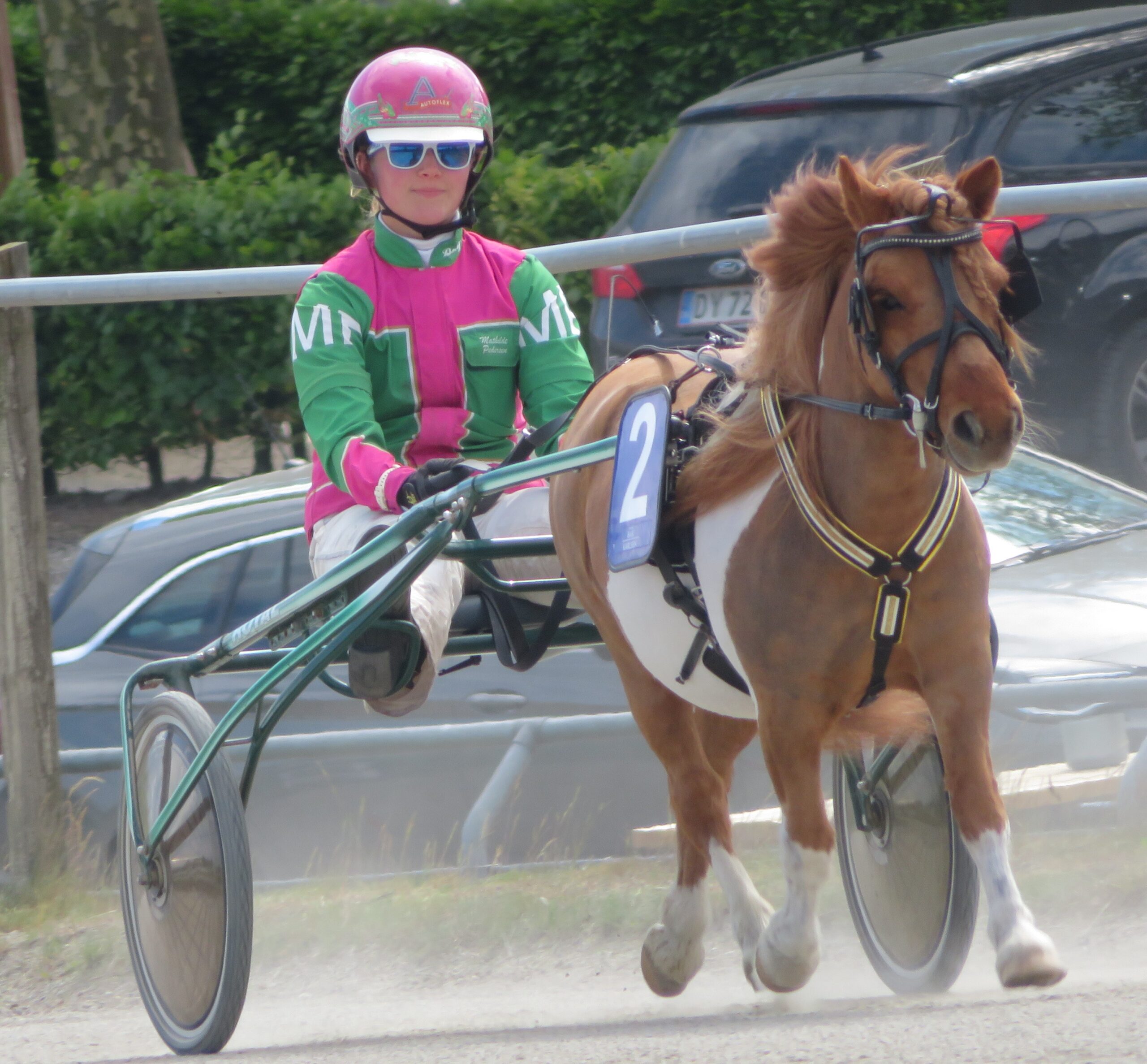 Mathilde med Hedens Polo scaled 1