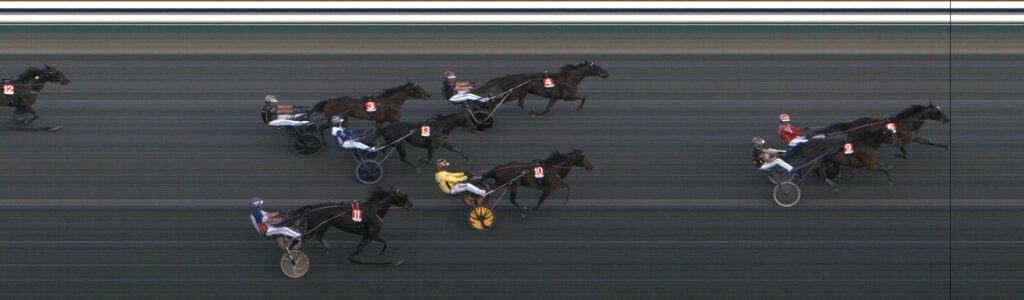 TailorHill