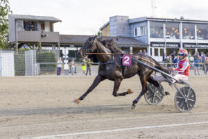 ludvig s 2 1