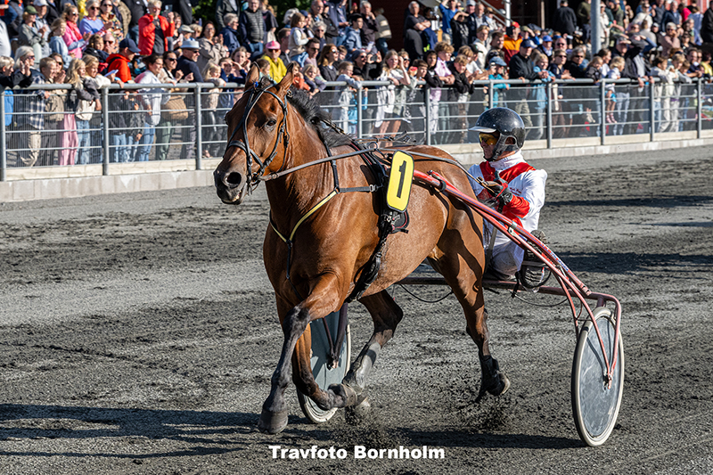 Baron Revenue med Niels Peter Stainlein 5 august 2025 Fotograf Torben Ager Travfoto Bornholm TKA 8146