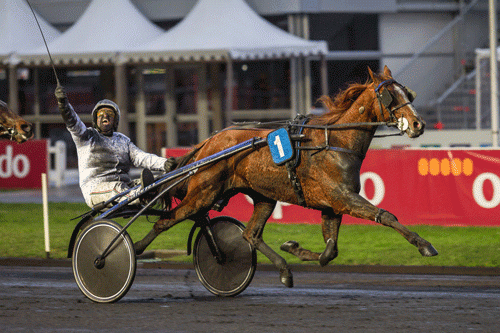 Dennis Kristiansen EST 0386 1 500x333 1
