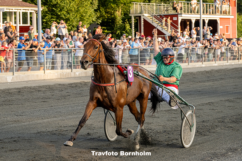 Golden Star K J md Lena Mari Noerregaard 14 august 2025 Fotograf Torben Ager Travfoto Bornholm TKA 9146