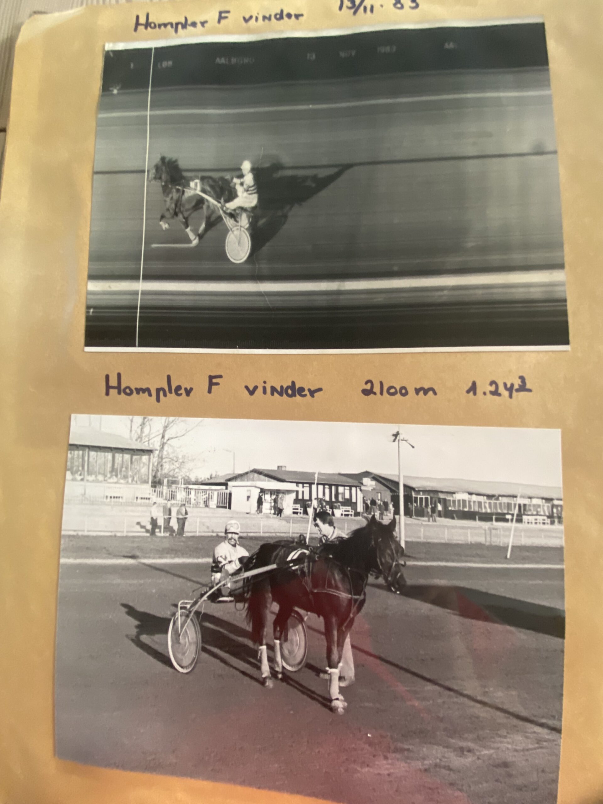 Hamp 1 scaled 1