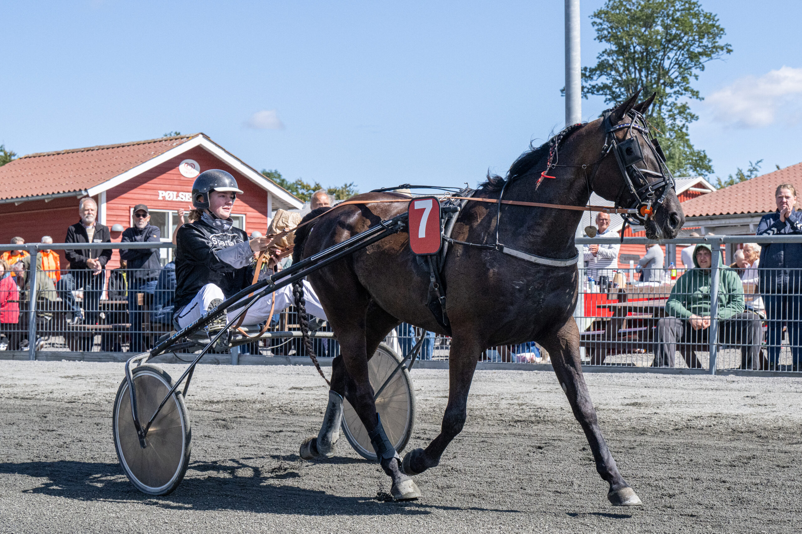 Hi Was The Night med Natasja Folkmann Staack 23 august 2025 Fotograf Torben Ager Travfoto Bornholm TKA 9527 scaled 1